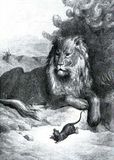 Le Lion et le Rat, Illustration de Gustave Doré des Fables de la Fontaine