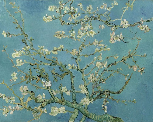 Vincent Van Gogh : Amandier en fleurs